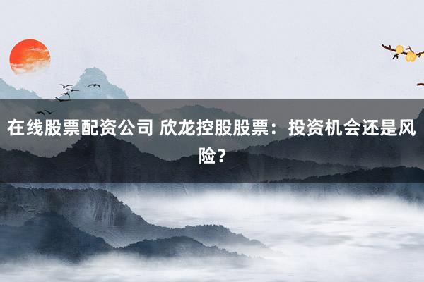 在线股票配资公司 欣龙控股股票：投资机会还是风险？
