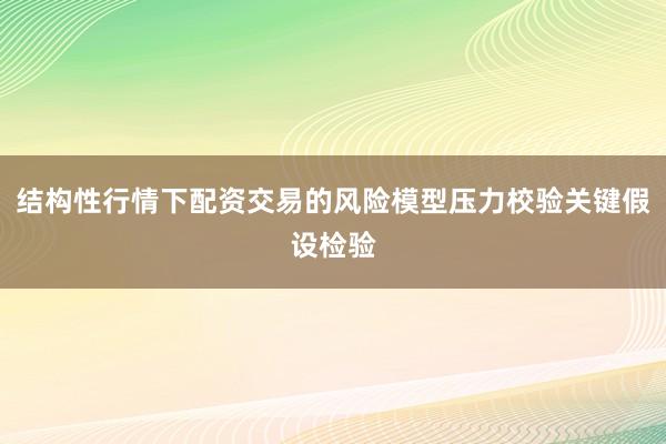 结构性行情下配资交易的风险模型压力校验关键假设检验