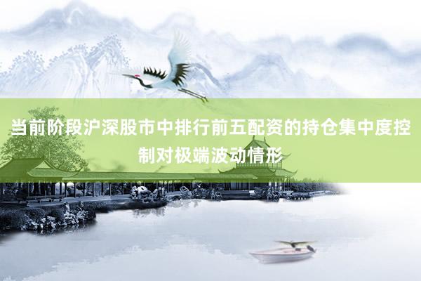 当前阶段沪深股市中排行前五配资的持仓集中度控制对极端波动情形